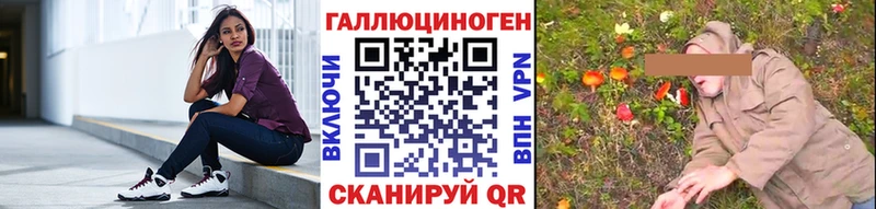 Купить  Дмитриев  Псилоцибиновые грибы Magic Shrooms 